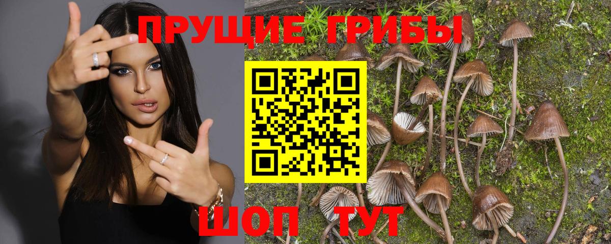 Галлюциногенные грибы Magic Shrooms  Вход с VPN  Кумертау  Псилоцибиновые грибы ЛСД 