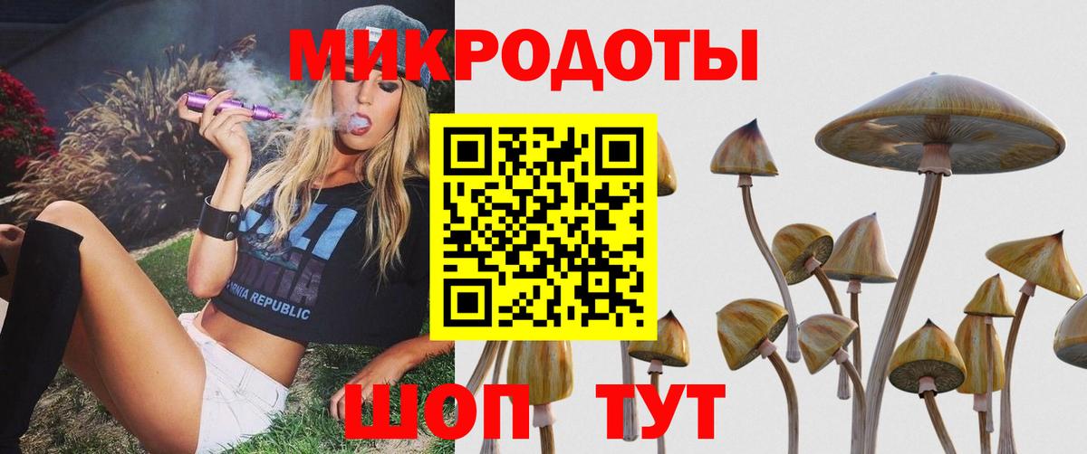 Псилоцибиновые грибы Psilocybine cubensis Кумертау